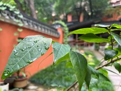 -天台山赤城山景区