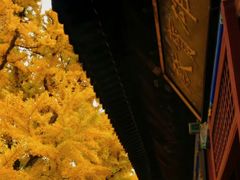 -红螺寺