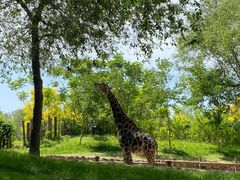 -北京野生动物园