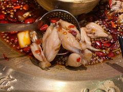-哥老官重庆美蛙鱼头(龙湖杭州金沙天街店)