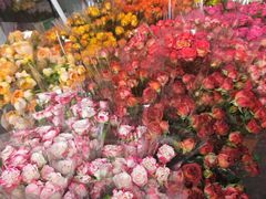 -循礼门鲜花花市(武汉循礼门店)