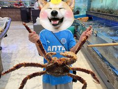 -聚福宝合苑食府(南头镇店)