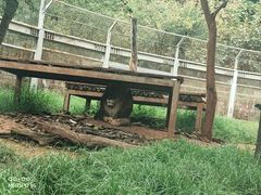 -昆明动物园