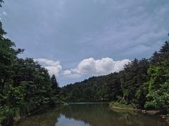 -四明山国家森林公园