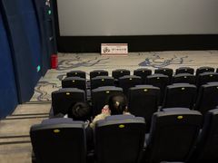 -佳兆业国际影城(鞍山店)