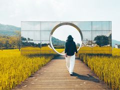 -艾米稻香小镇