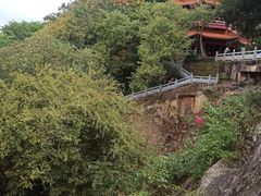 -神光山国家森林公园