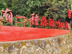 -九鲤湖风景区