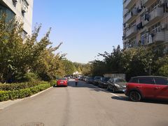 -山东外贸职业学院