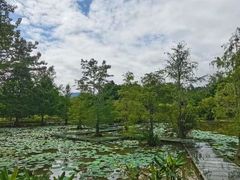-中国科学院西双版纳热带植物园