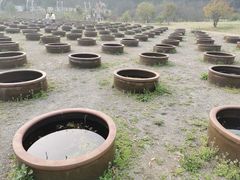 -杭州植物园