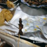 丽江烧烤