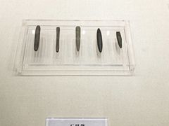 -巴音郭楞蒙古自治州博物馆