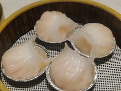 水晶虾饺-如轩海鲜砂锅粥(国际能源店)