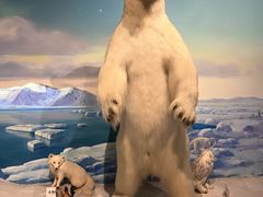 -陕西自然博物馆