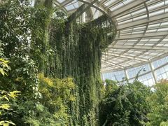 -昆明植物园