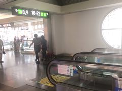 -厦门高崎国际机场-T3航站楼