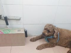 -熊仔屋(吉祥苑小区店)