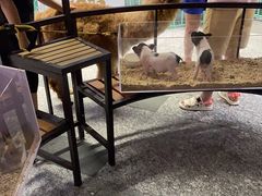 -1013 PET SHOP 宠物商店(近铁城市广场店)