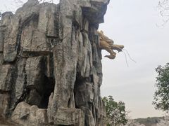 -宜兴龙背山森林公园