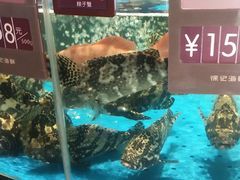 -徐记海鲜(梅溪新天地店)