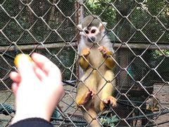 -福州动物园