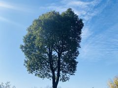 -蜀冈西峰生态公园