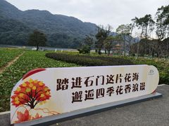 -广州市石门国家森林公园