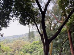 -广州市白云山风景名胜区