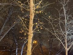 -蓝凯宾馆(和平西桥地铁站店)