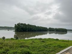 -沙美村