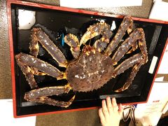 -蟹道乐(道顿堀本店)