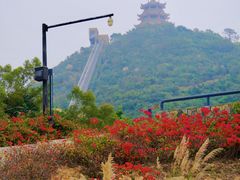 -东澳岛