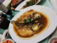 家炖黄花鱼-双井轩(双井店)