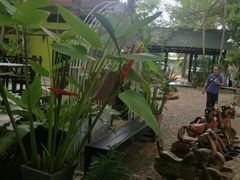 -Jungle Kitchen