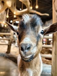 -Zoolung Zoolung动物主题公园(海信广场店)