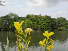 -海珠湖公园