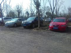 -广富林郊野公园-P5停车场