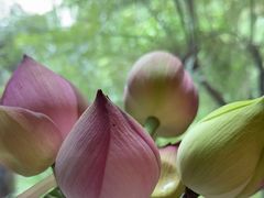 -四季明湖·鲁菜海鲜(明湖店)