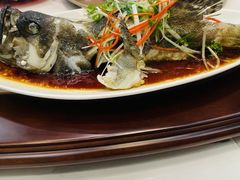 -九號渔港·蒸汽海鲜·粤菜茶点(八卦岭店)