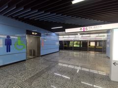 -大龙山(地铁站)