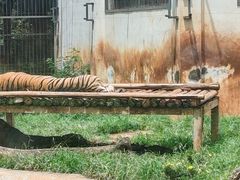 -昆明动物园