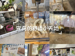 -吉丁鸟咖·异宠·寄养