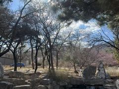 -国家植物园南园