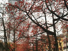 -烈士陵园(地铁站)