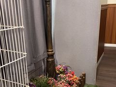 -JOJO实景沉浸侦探剧本杀(大悦城店)