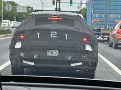 -春花秋色城市公园