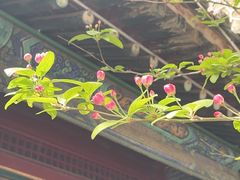 -潭柘寺景区