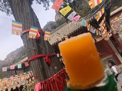 -北京上方山国家森林公园