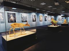 -国家自然博物馆